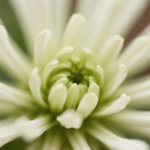 BETWEEN YOUR HEARTBEATS