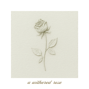 a withered rose