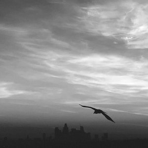 Sah voraus (Roman Ridder Remix)