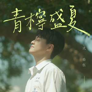 青柠盛夏