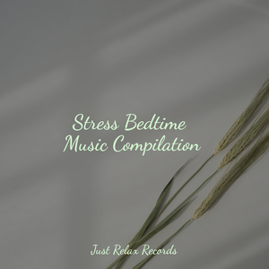 Ephemeral Ember Echoes