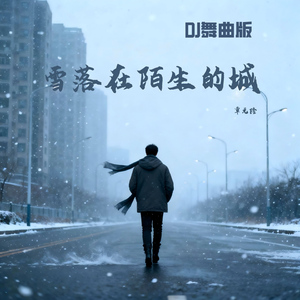 雪落在陌生的城 (舞曲版)