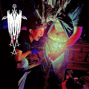 Cock of Glory (15 Second Version)