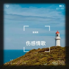 爱过了头心伤透