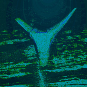 Nephritis LP - Nightmare