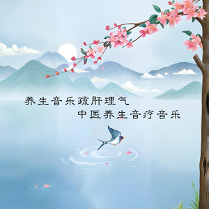 女儿情 (中医养生音乐)