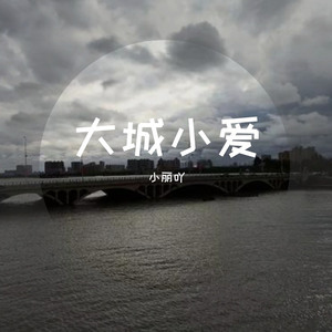 这城市的你我