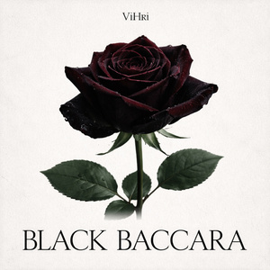 Black Baccara