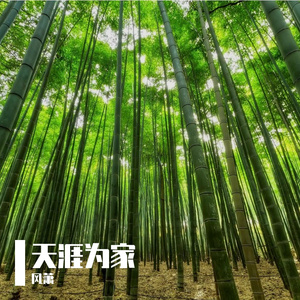 天涯为家