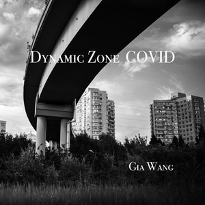 dynamic zero COVID