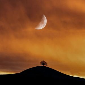 穿越森林寻光明（小提琴）