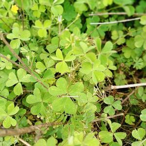 是非功过任评说