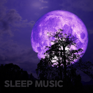 별빛 테라스 (밤숲소리)