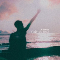 别做混世大魔王了 做我的小公主吧 (Remix)