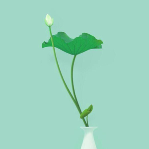 南无阿弥陀佛（朱元璋 remix）