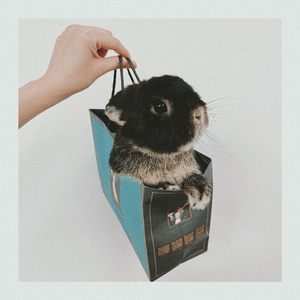 死神（粤语版）