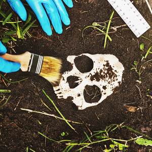 Csi