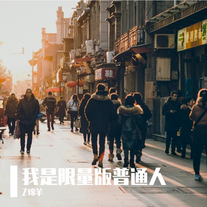 我是限量版普通人