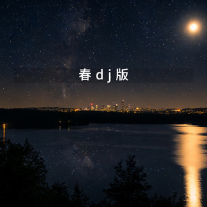 春dj版
