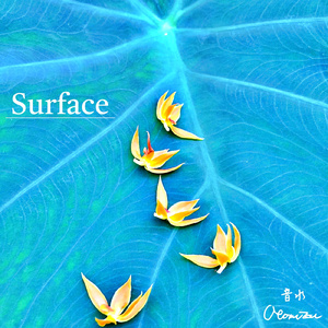 Surface