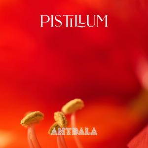 Pistillum