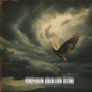 Yürüyorum Dikenlerin Üstüne