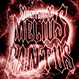 MONTAGEM MELIUS CANTUS (Slowed)