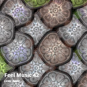 Feel Music 42