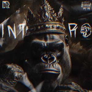 Intro (Gorill)