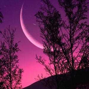 歌名还没想好（Prod.Bizy）