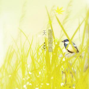 已将灯魄寄天舟（翻自 Salon）