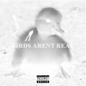 BIRDS ARENT REAL (feat. AyTee & It's Finn Again)