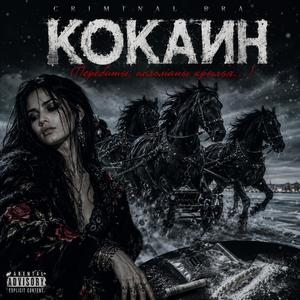 Кокаин (Перебиты, поломаны крылья...)