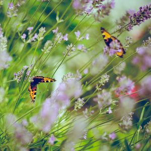 安静的周六声音