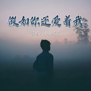 假如你还爱着我