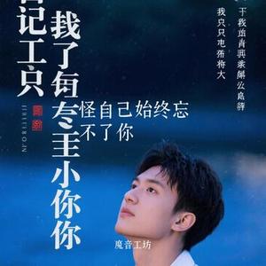 怪自己始终忘不了你 (Cover 段晓晓)