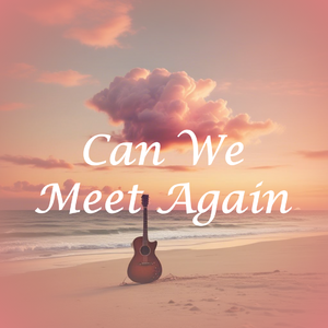 Can We Meet Again