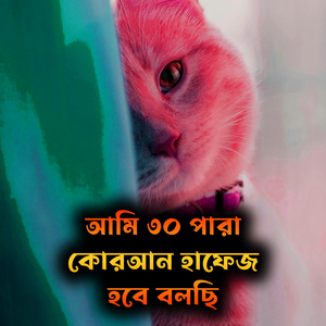 আমি ৩০ পারা কোরআন হাফেজ হবে বলছি