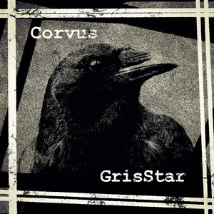 Corvus