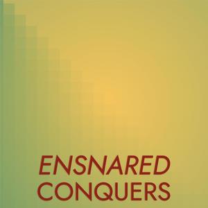 Candidness Visionary