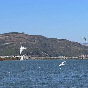 二十二点差三分