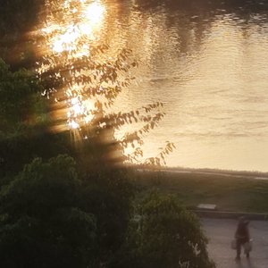 想和你漫步在黄昏里