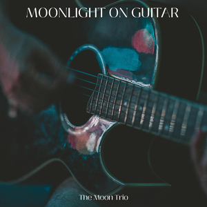 Moonlight on Guitar