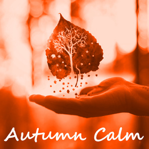 Return Of The Spirit