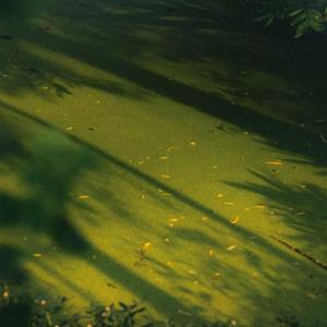 这些年在忙什么 田园