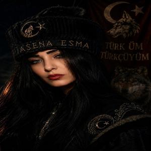 Türk'üm Türkçüyüm