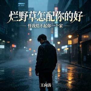 烂野草怎配你的好(怪我给不起你一个家)