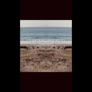 アナガリスとリクニス