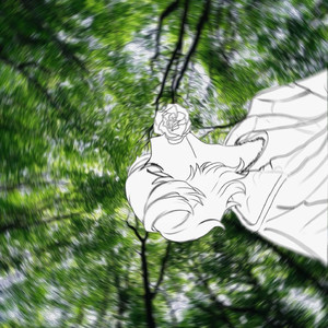 自由小猫圆舞曲