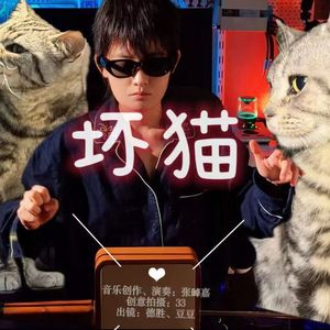 坏猫